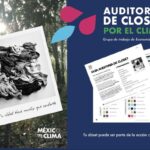 PASE DE ABORDAR/ daños al comercio establecido